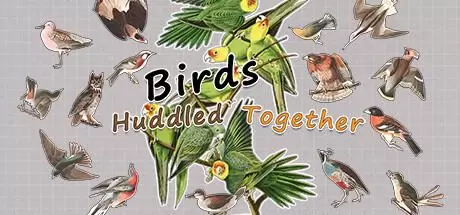 挤在一起的鸟鸟（Birds Huddled Together）官方中文 Build.14298719